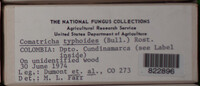 Image Associated With the Occurence